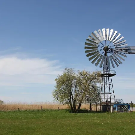 Strandnahe, Schicke Mit Terrasse Und Garten - Silas Lejlighed